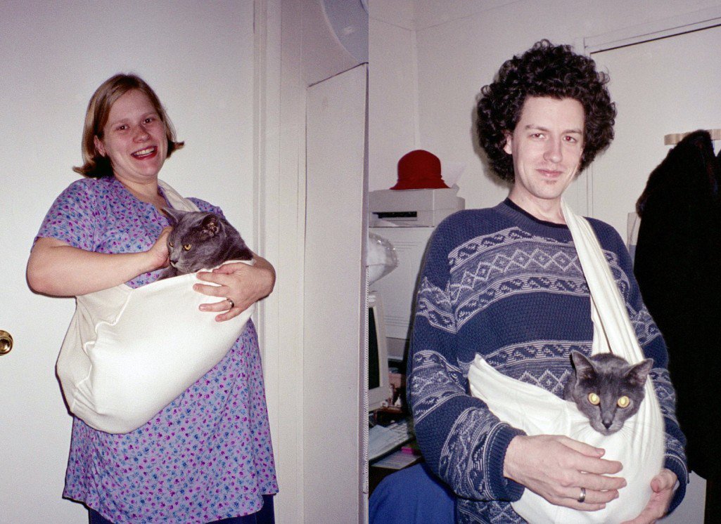 baby sling for cats